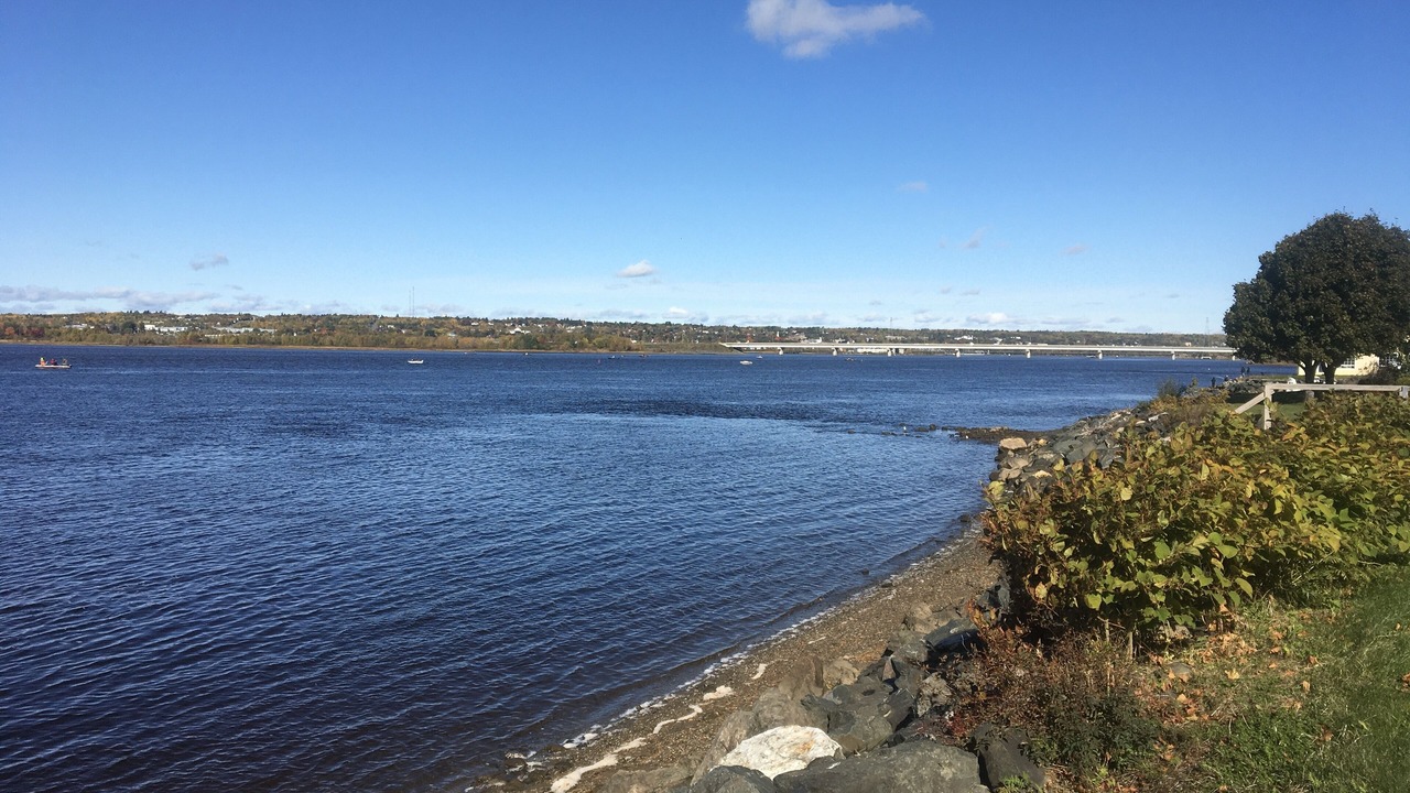 Photo of Others in Nelson Miramichi