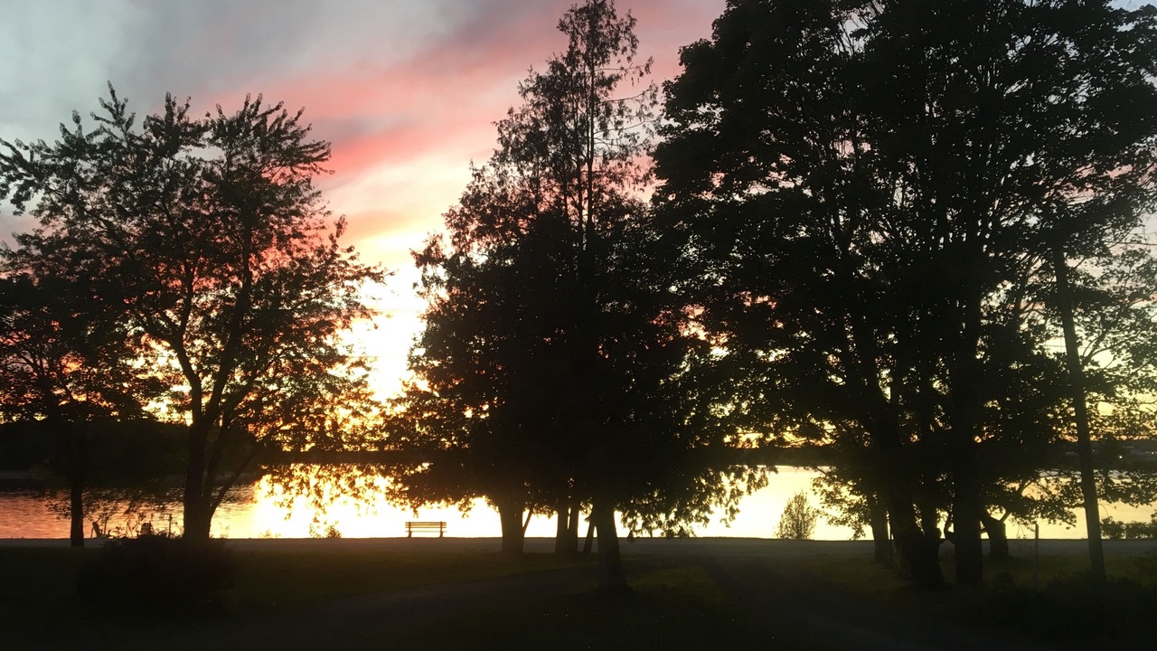 Photo of Outdoor in Nelson Miramichi