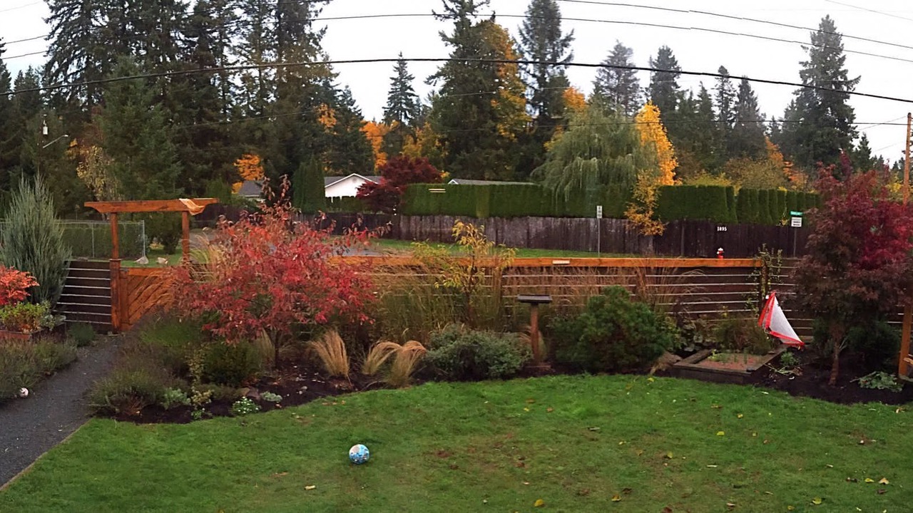 Photo of Outdoor in Courtenay