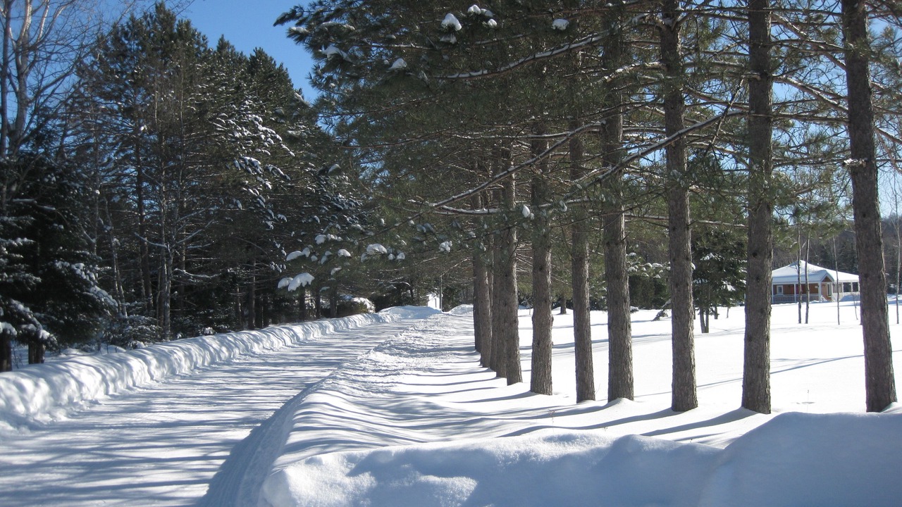 Photo of Outdoor in Lac-Superieur