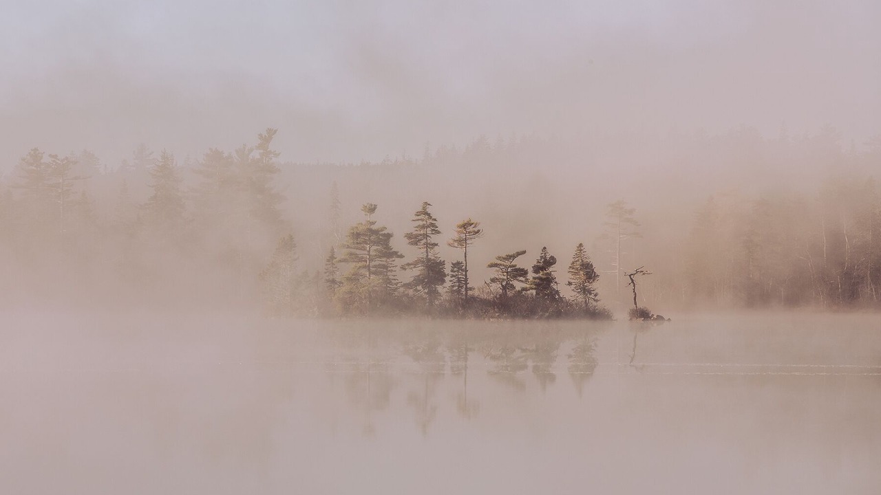 Photo of Others in Mount Uniacke