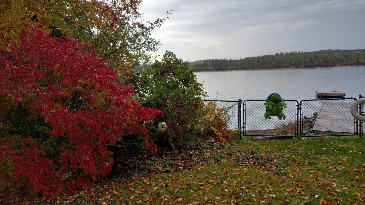 Photo of Outdoor in Mount Uniacke