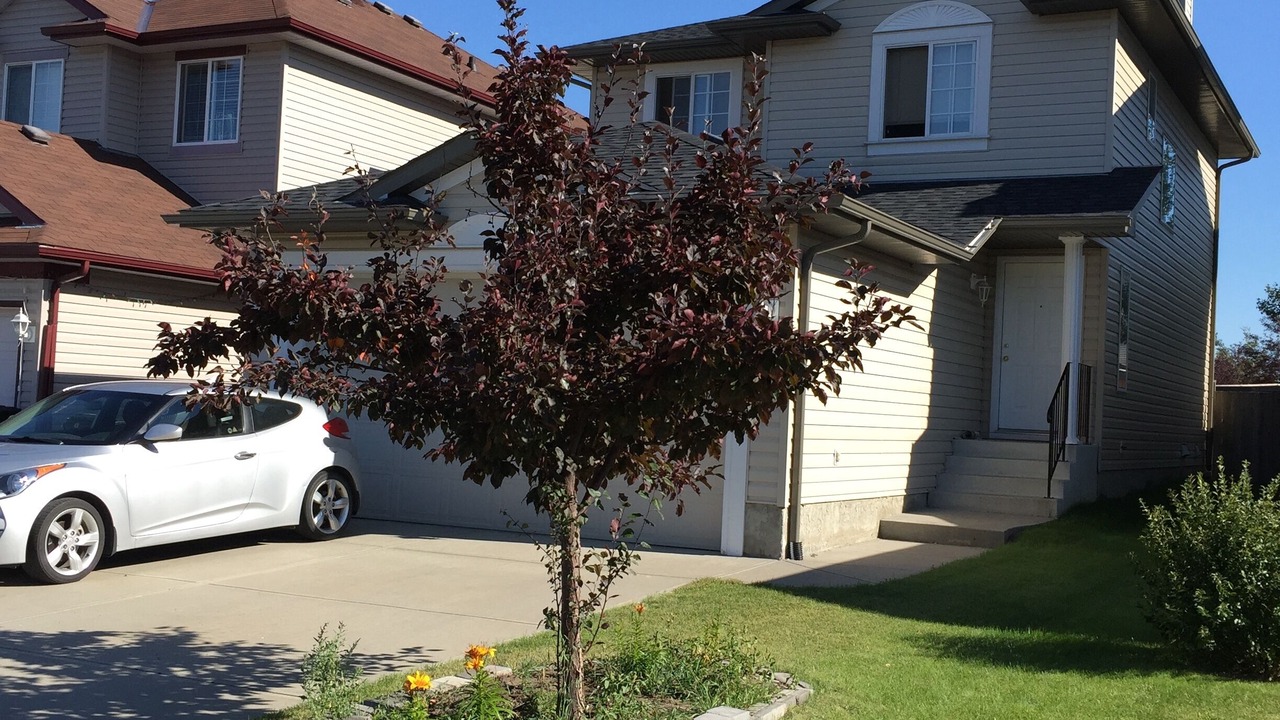 Photo of Outdoor in Bridlewood