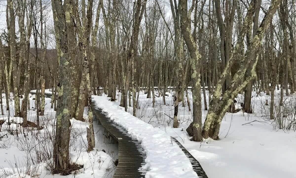 Photo of Others in Stanstead Township