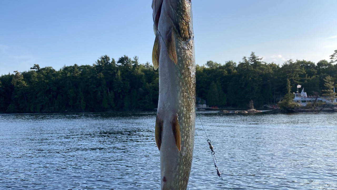 Photo of Outdoor in Georgian Bay