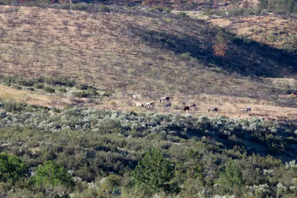 Photo of Outdoor in Okanagan-Similkameen