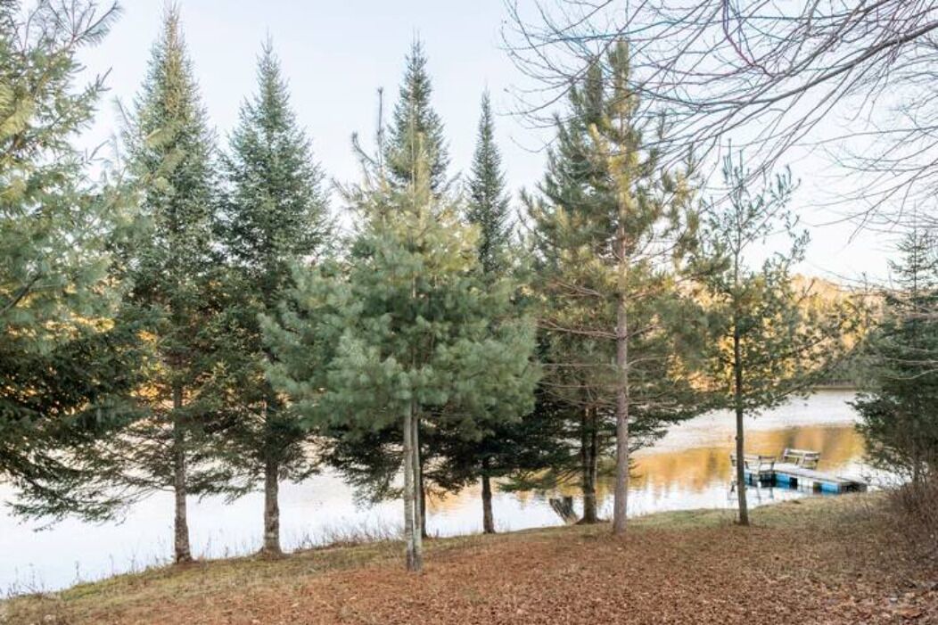 Photo of Outdoor in Amherst