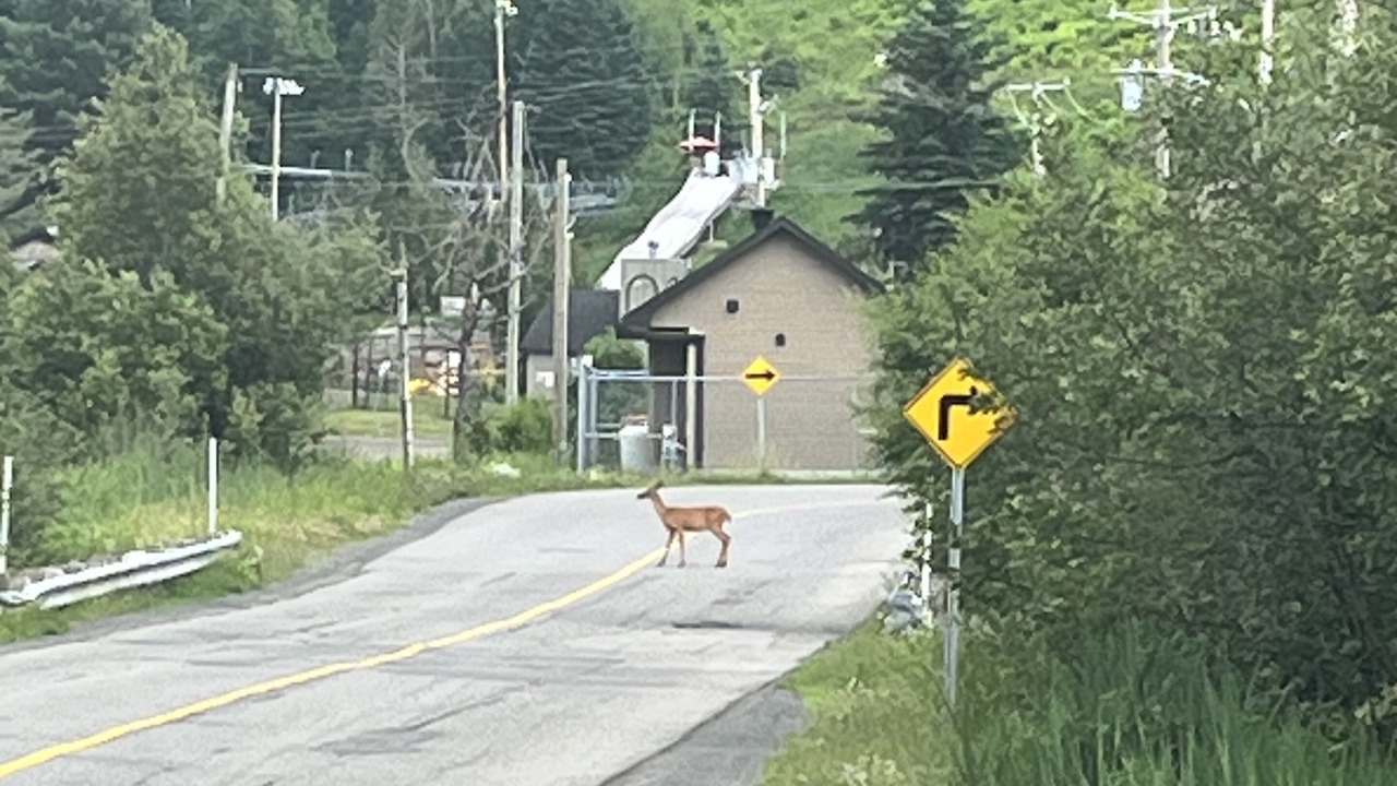Photo of Outdoor in Saint-Sauveur
