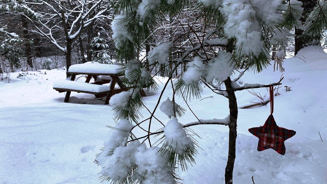 Photo of Outdoor in Minden Hills