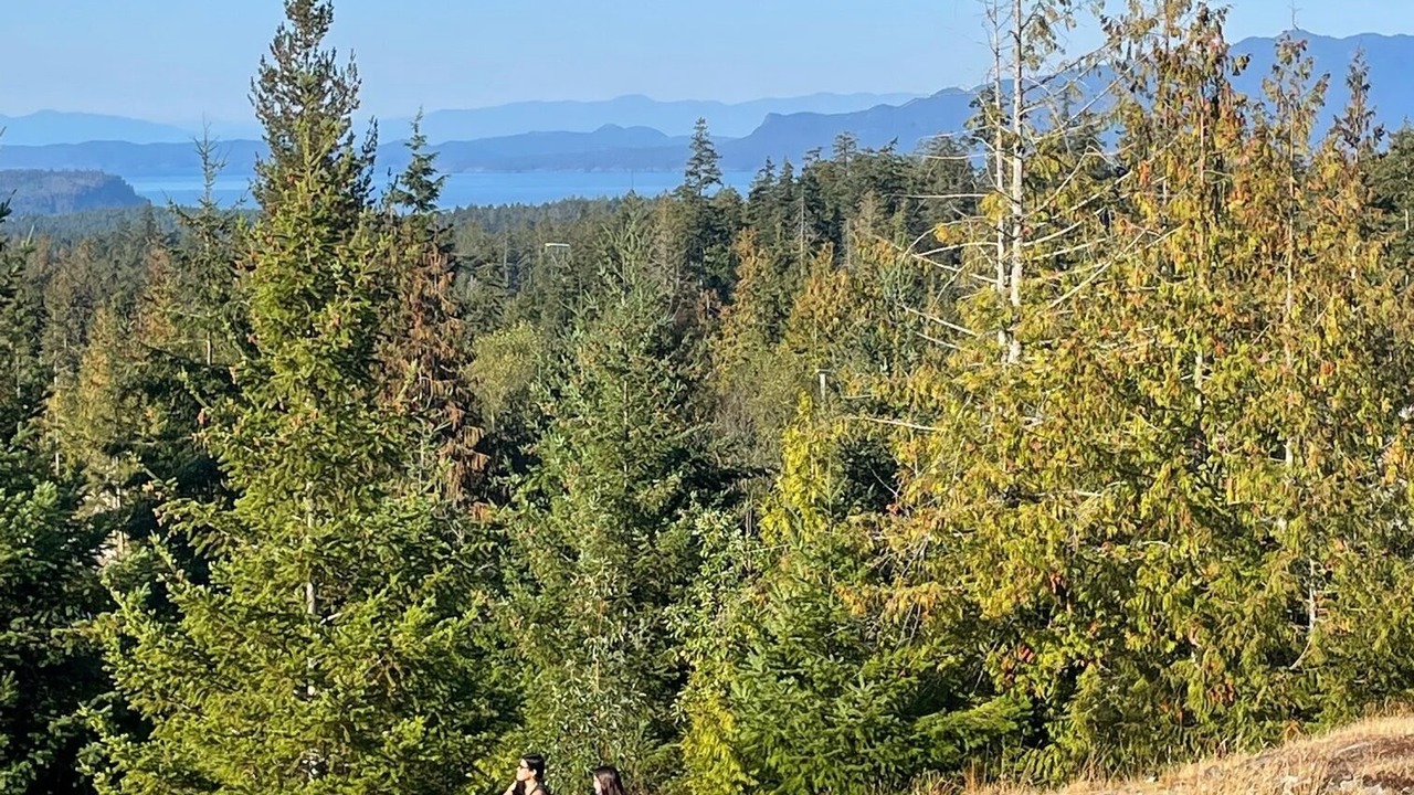 Photo of Outdoor in Halfmoon Bay