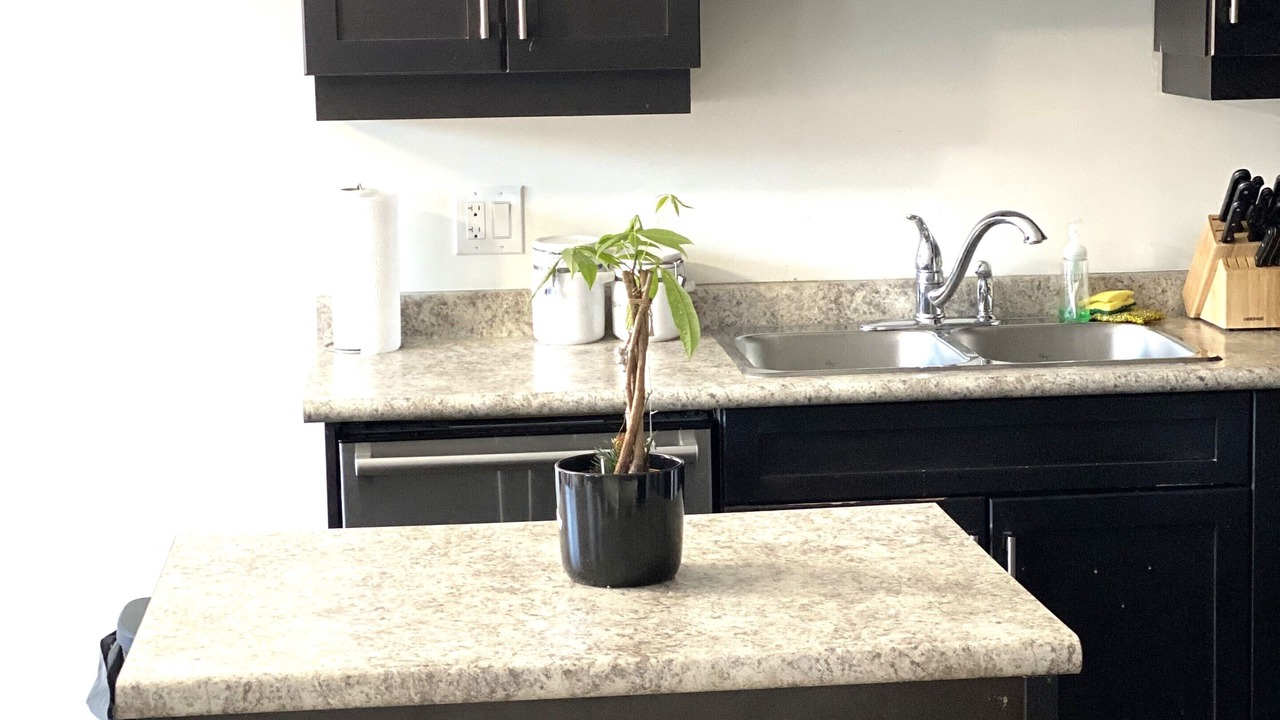 Photo of Kitchen in Welland