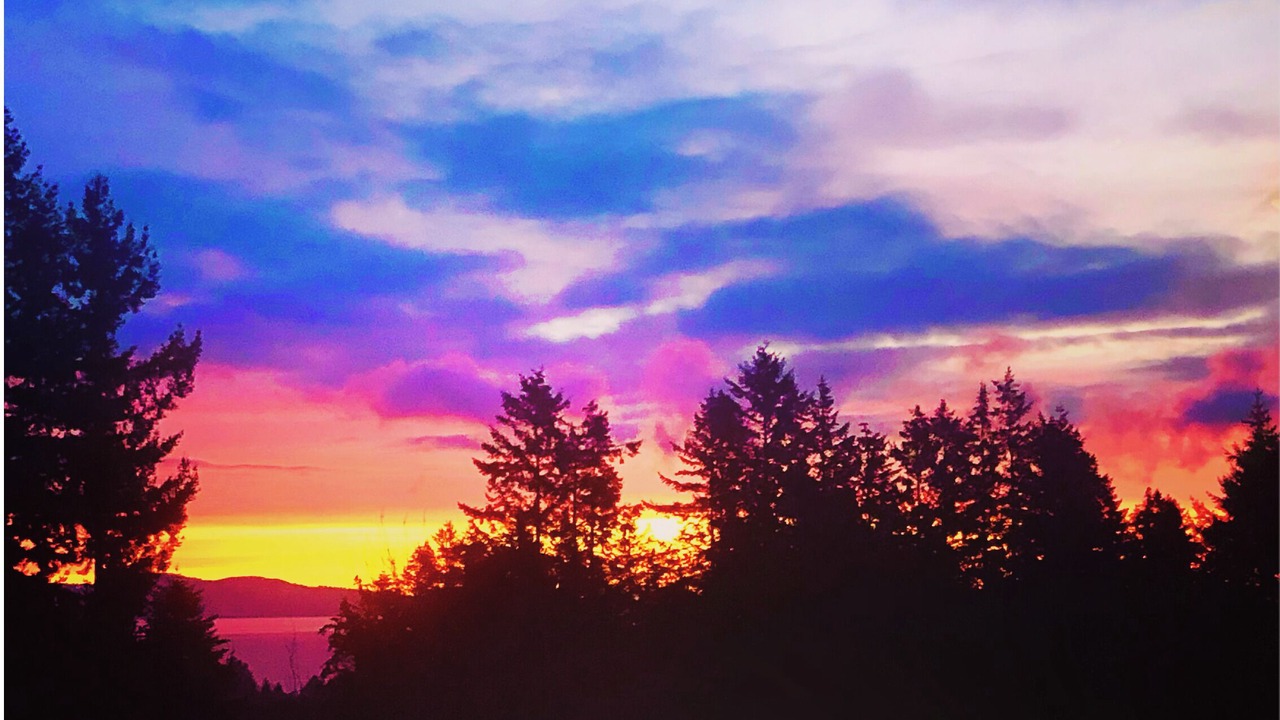 Photo of Outdoor in Cordova Bay