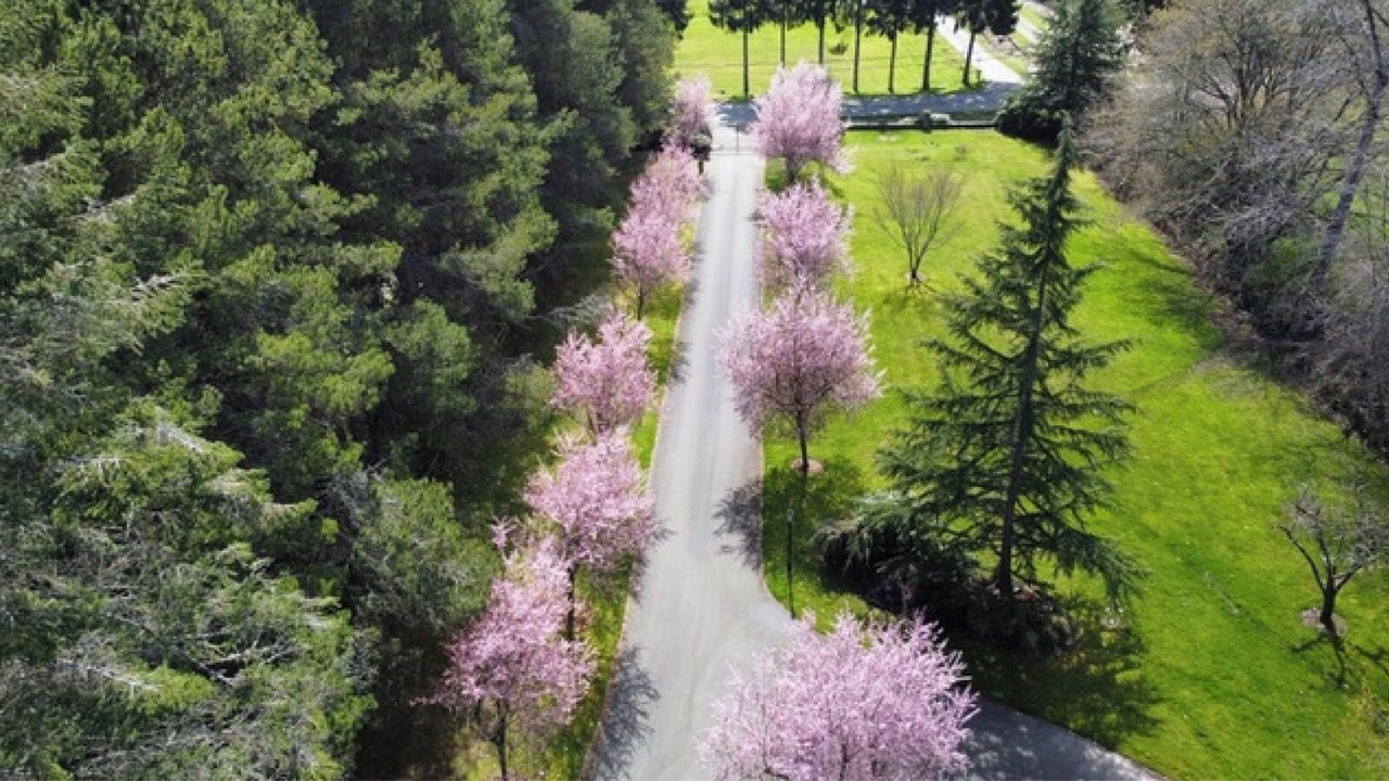 Photo of Outdoor in Saanich
