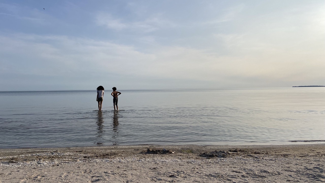 Photo of Others in Wainfleet
