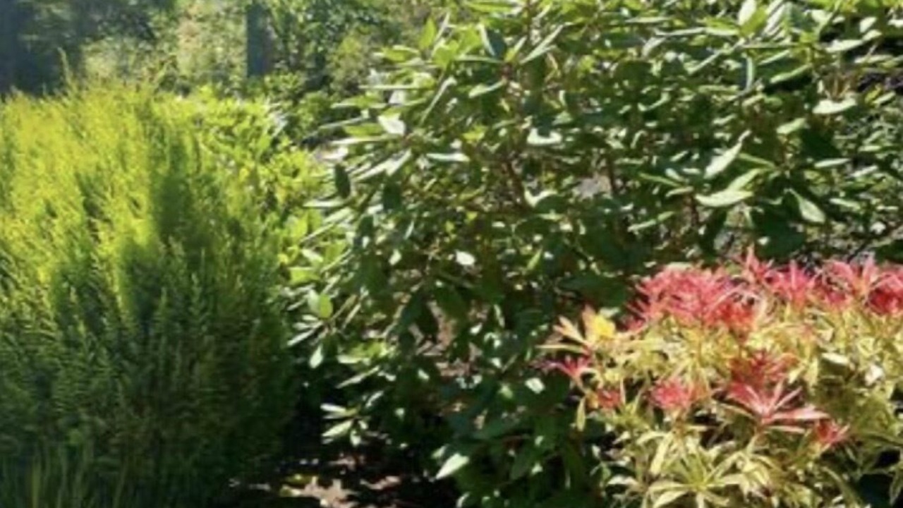 Photo of Outdoor in Otter Point