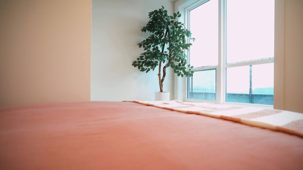 Photo of Bedroom in North End