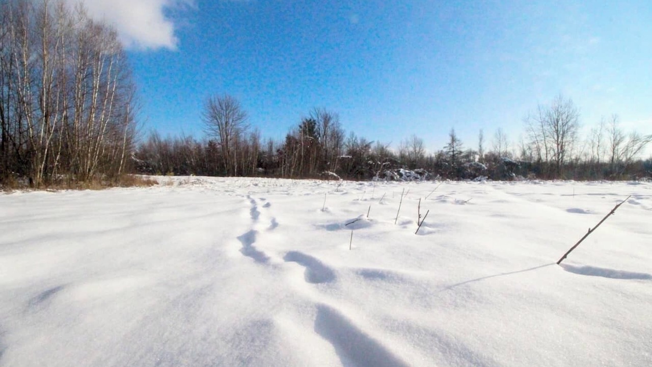 Photo of Others in North Grenville