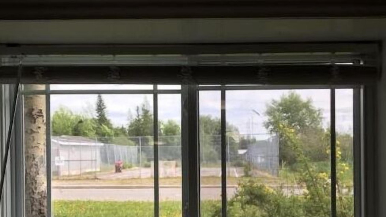 Photo of Others in Lewisporte