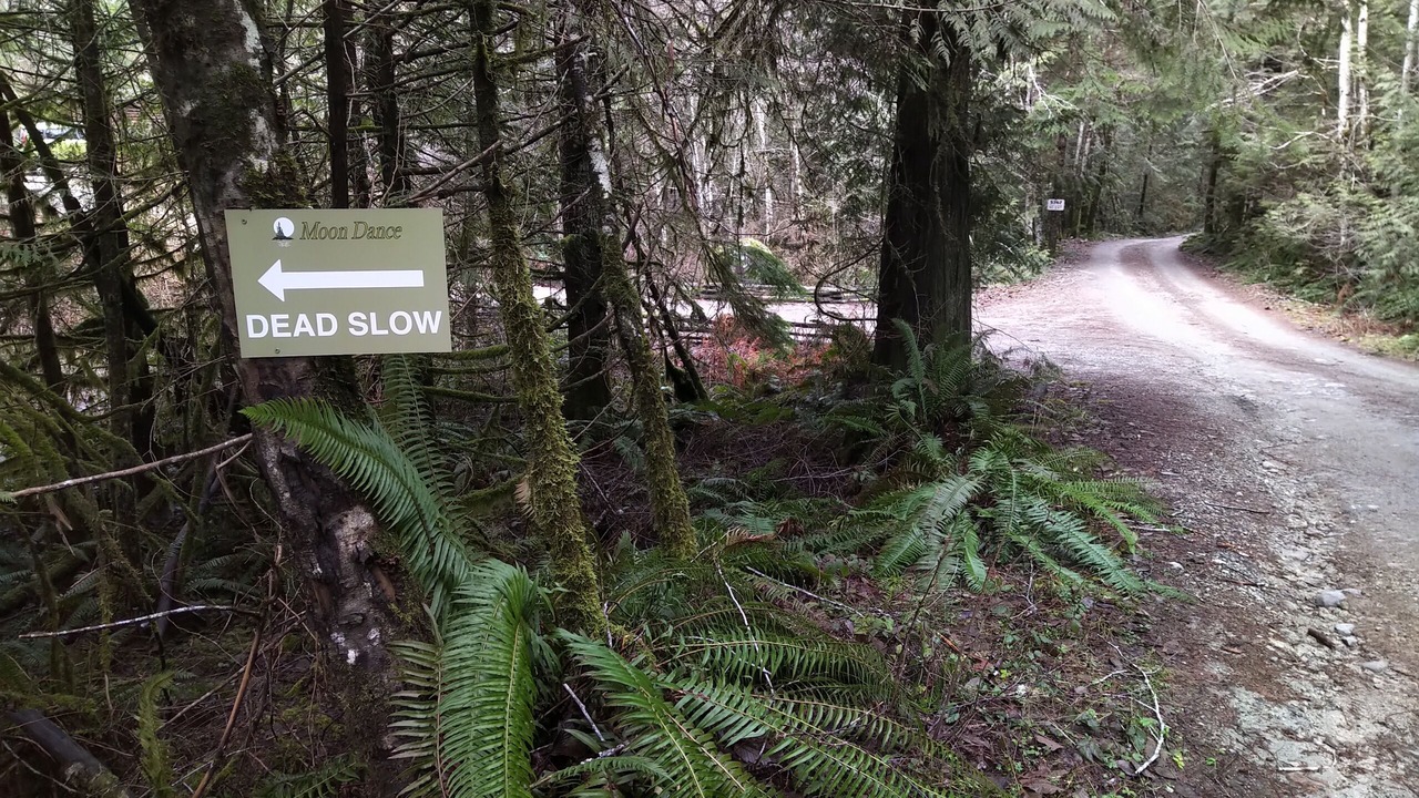Photo of Outdoor in Madeira Park