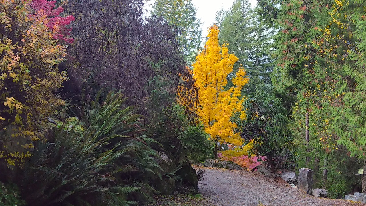 Photo of Outdoor in Madeira Park