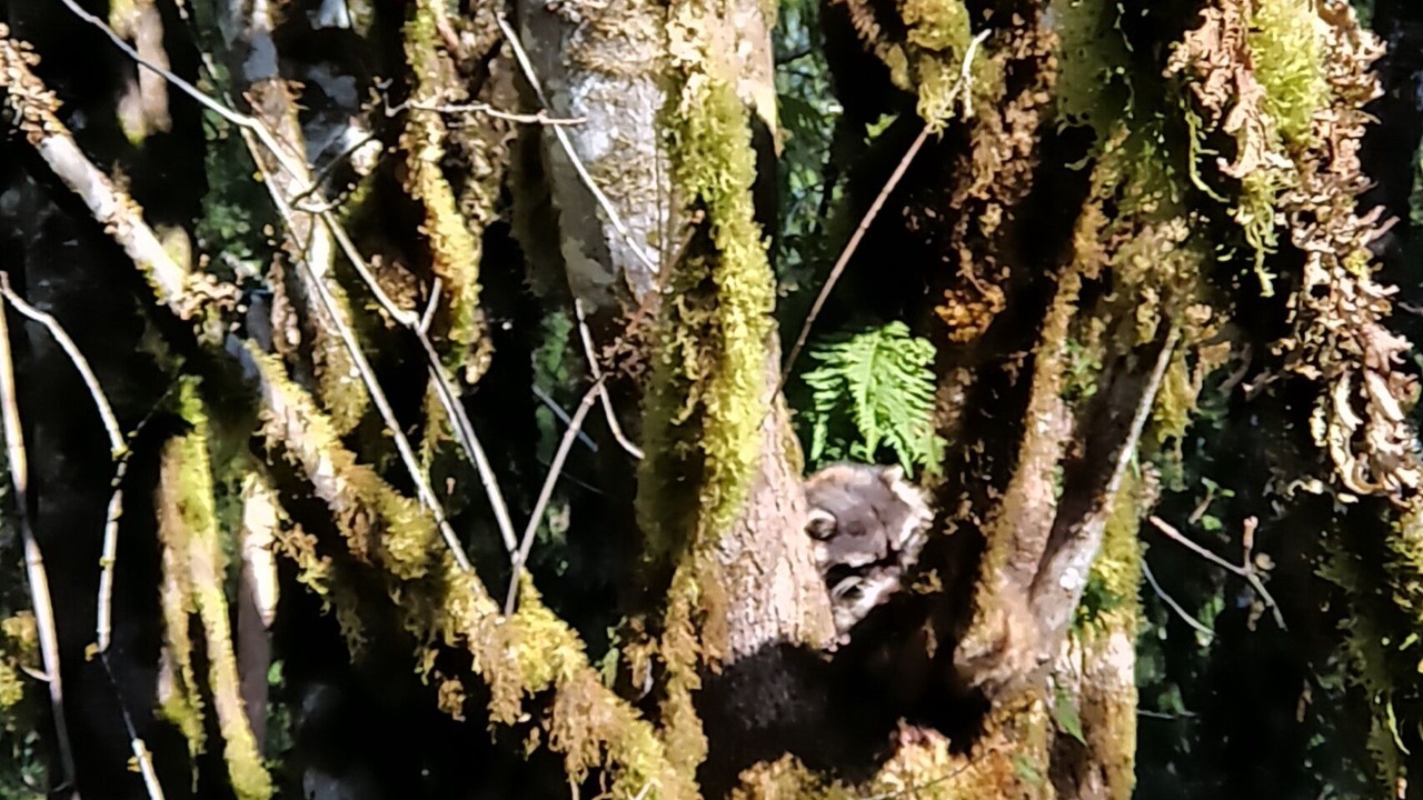 Photo of Others in Madeira Park