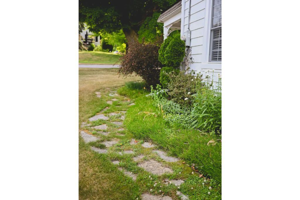 Photo of Others in Colborne