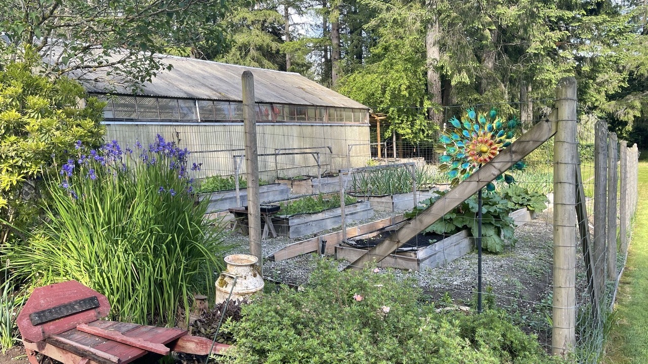 Photo of Outdoor in Shawnigan Lake