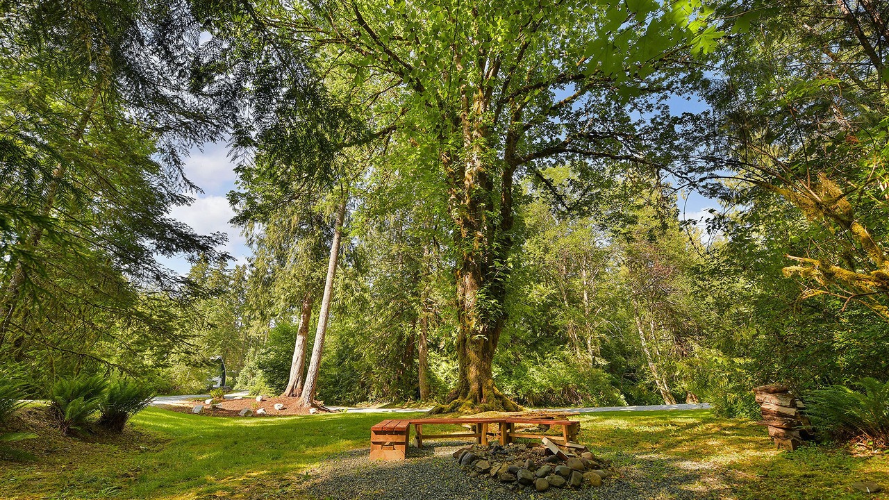 Photo of Outdoor in Shawnigan Lake