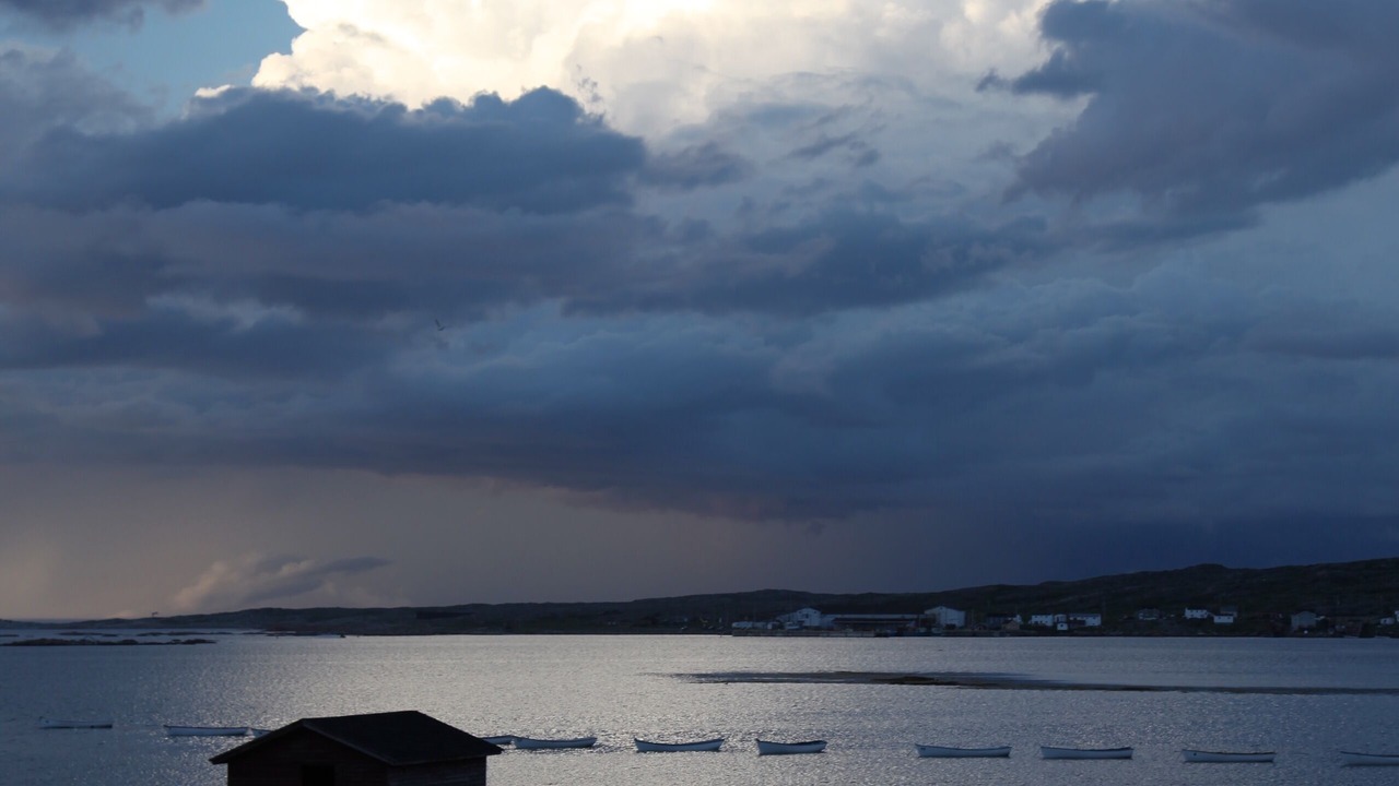 Photo of Outdoor in Joe Batt's Arm