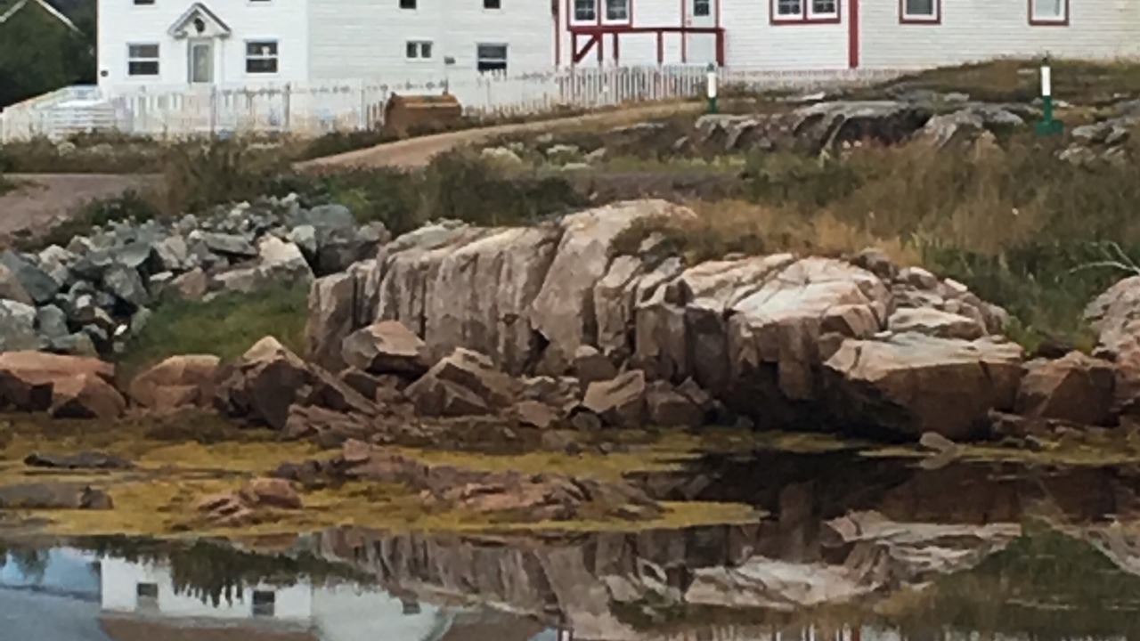 Photo of Outdoor in Joe Batt's Arm