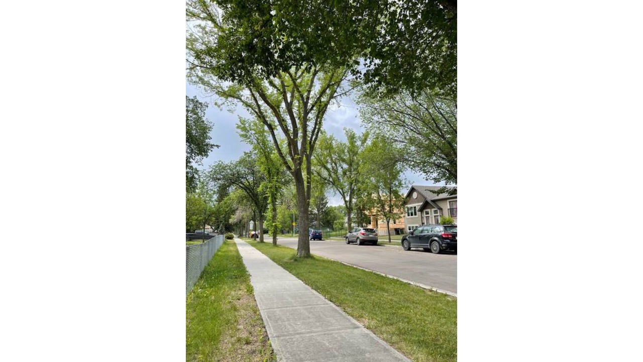 Photo of Outdoor in Northwest Edmonton