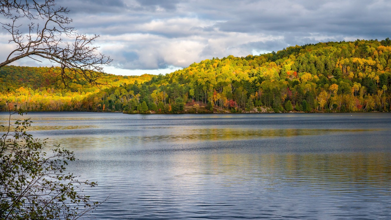 Photo of Outdoor in Wilno
