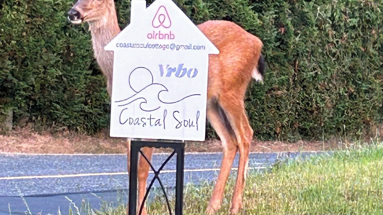 Photo of Outdoor in Sooke