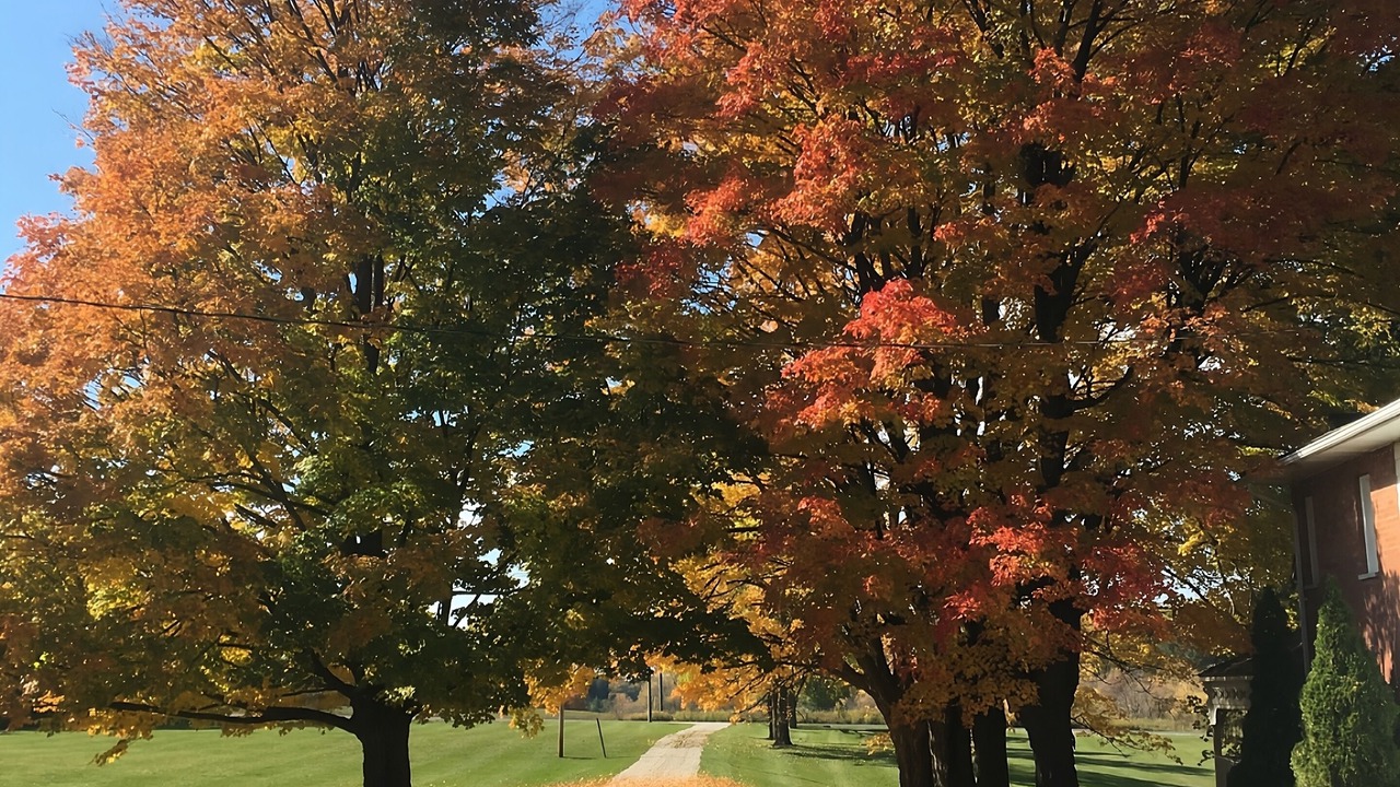 Photo of Outdoor in New Tecumseth