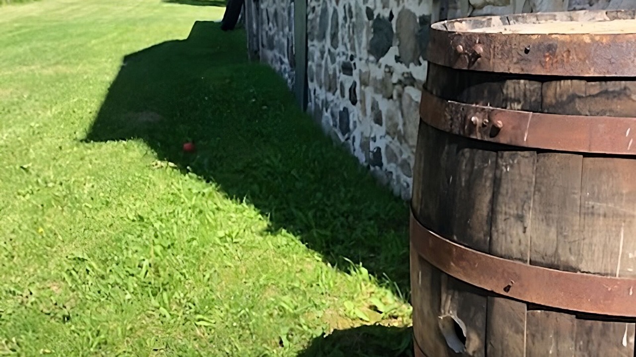Photo of Outdoor in New Tecumseth