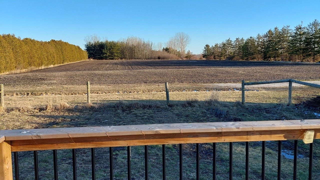 Photo of Outdoor in Pointe aux Roches
