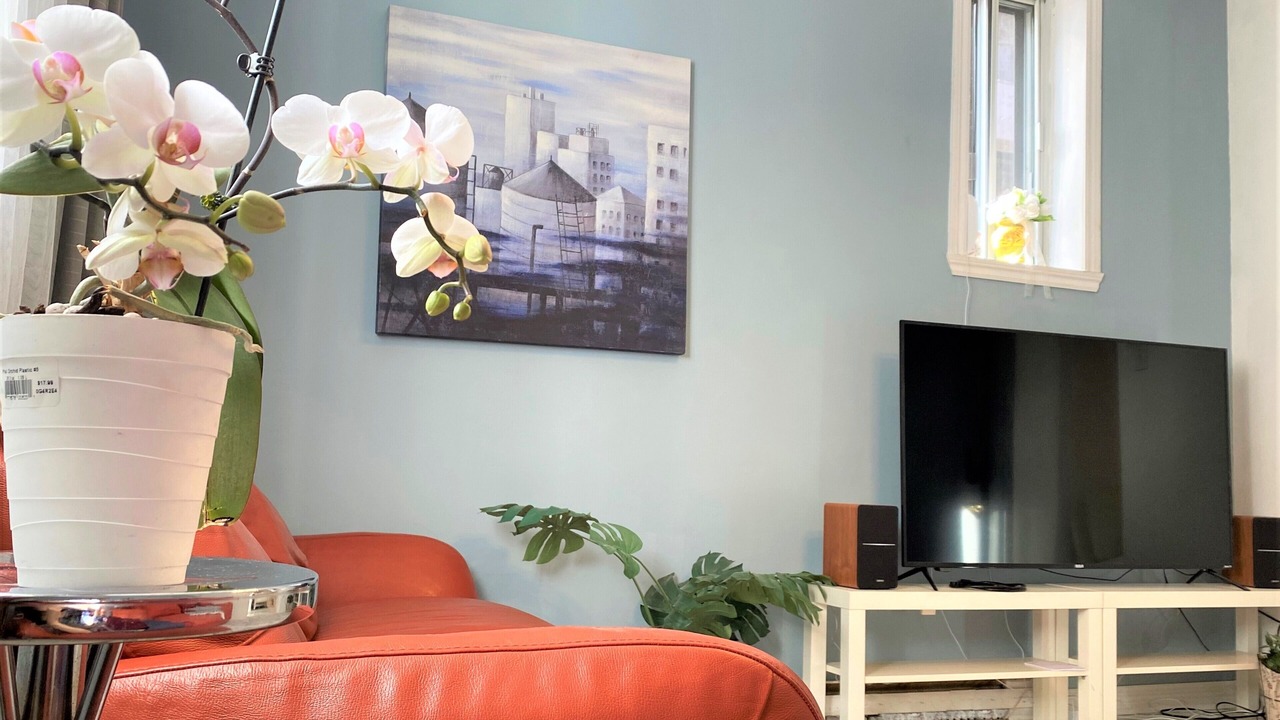 Photo of Livingroom in Plateau Mont Royal