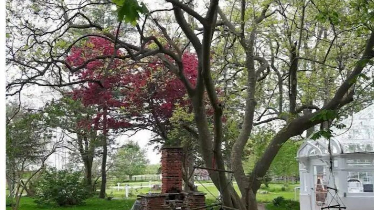 Photo of Outdoor in Fort Erie