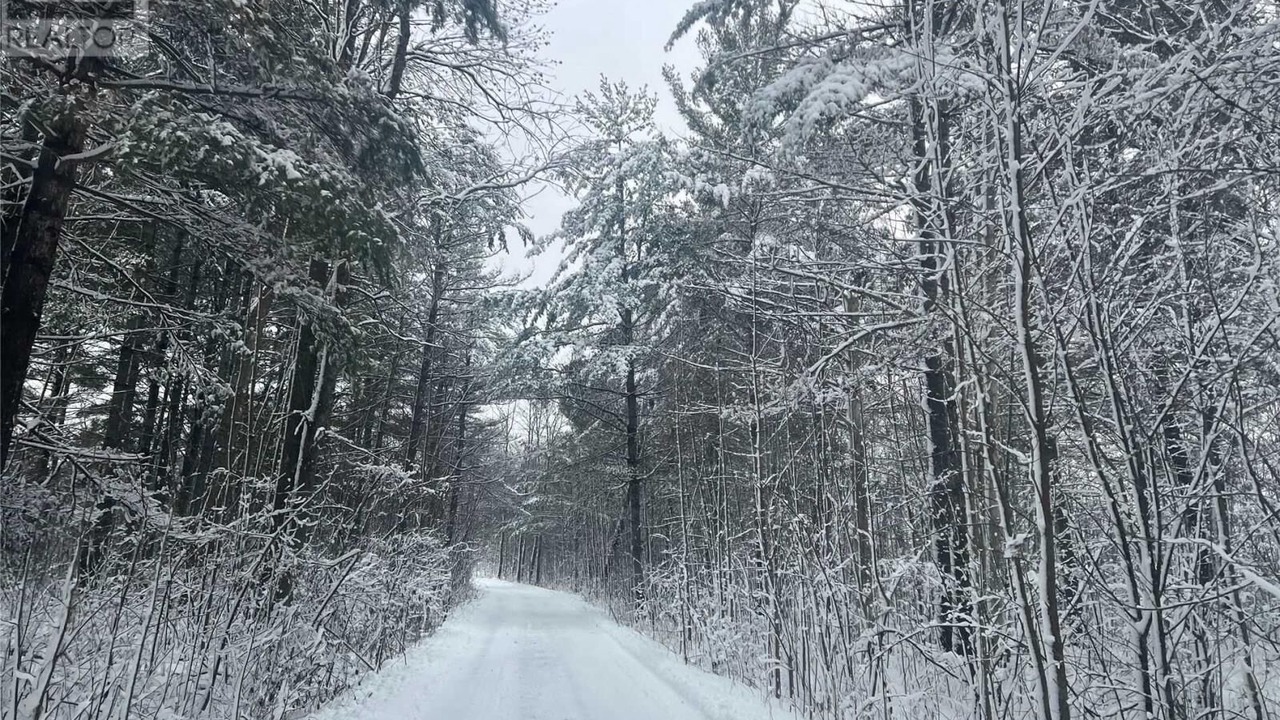 Photo of Outdoor in Port Severn