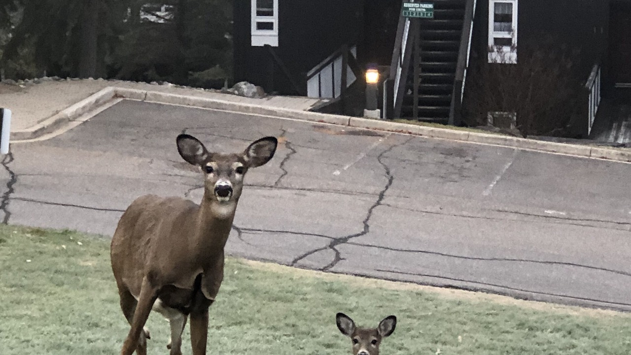 Photo of Outdoor in Huntsville
