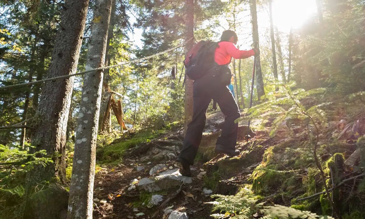 Photo of Others in Lac-Saint-Paul
