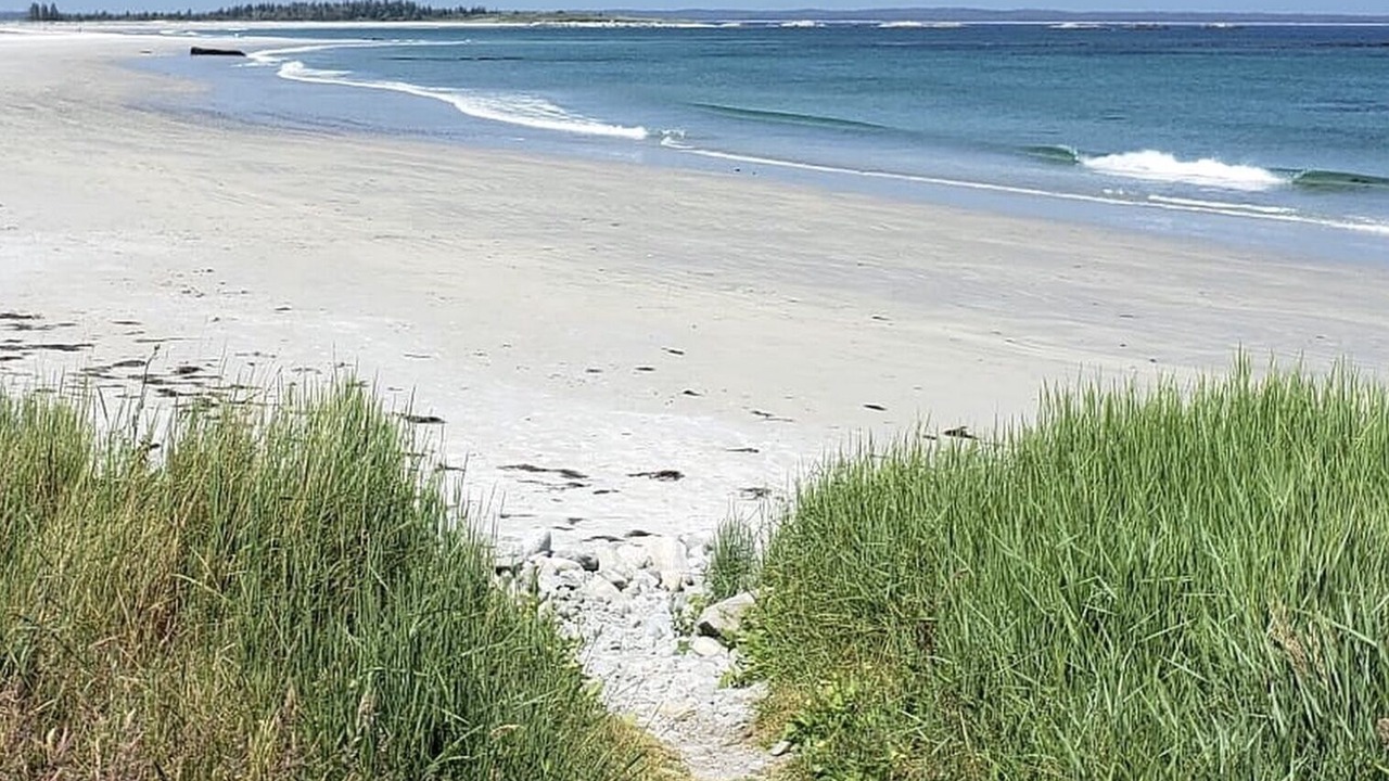 Photo of Others in Cape Sable Island