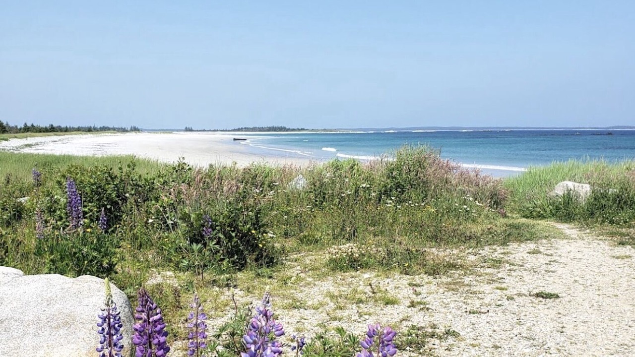 Photo of Others in Cape Sable Island