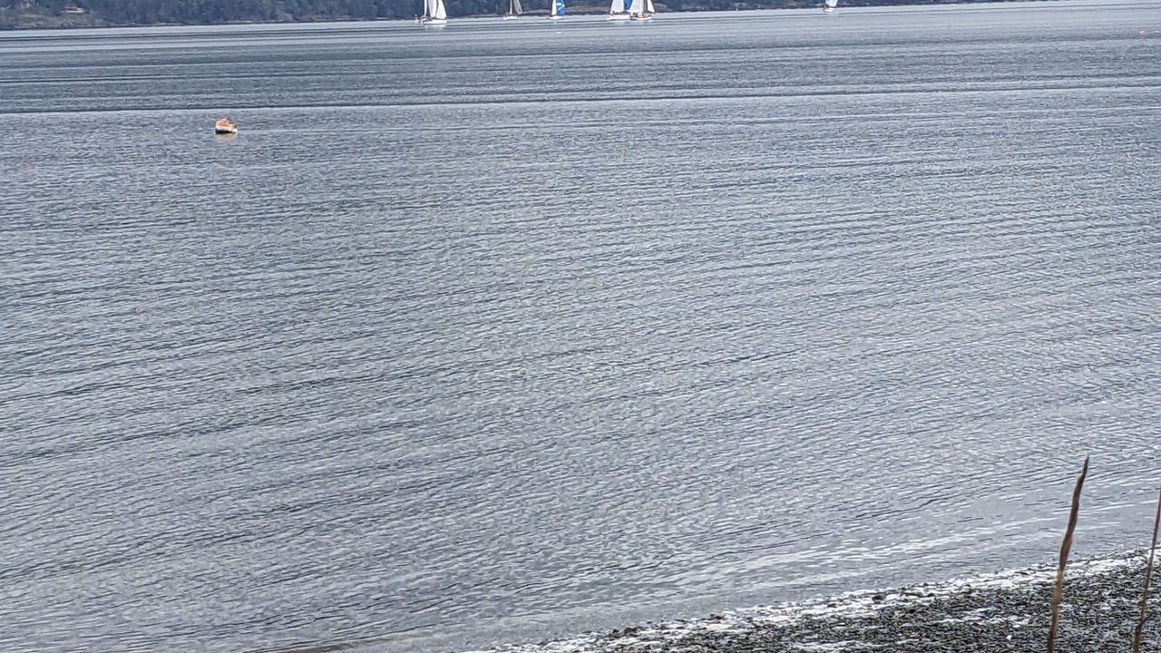 Photo of Others in Cowichan Bay