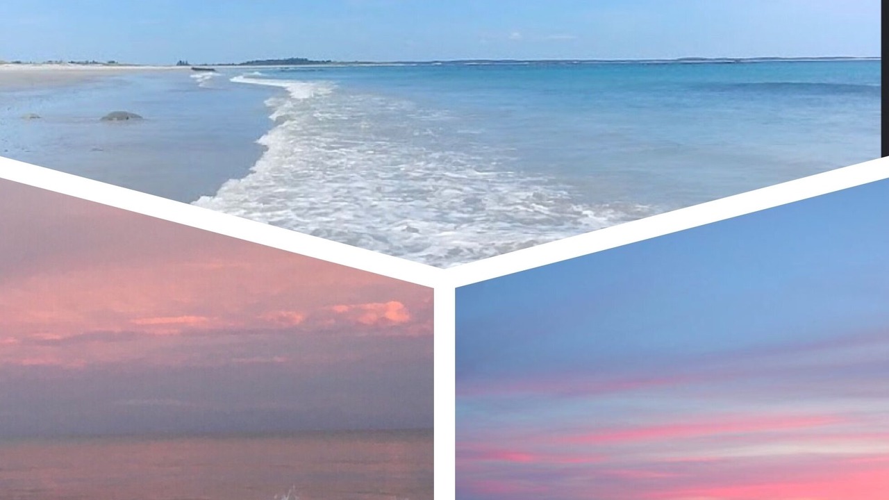 Photo of Others in Cape Sable Island