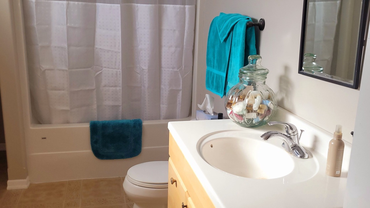 Photo of Bathroom in Bellevue