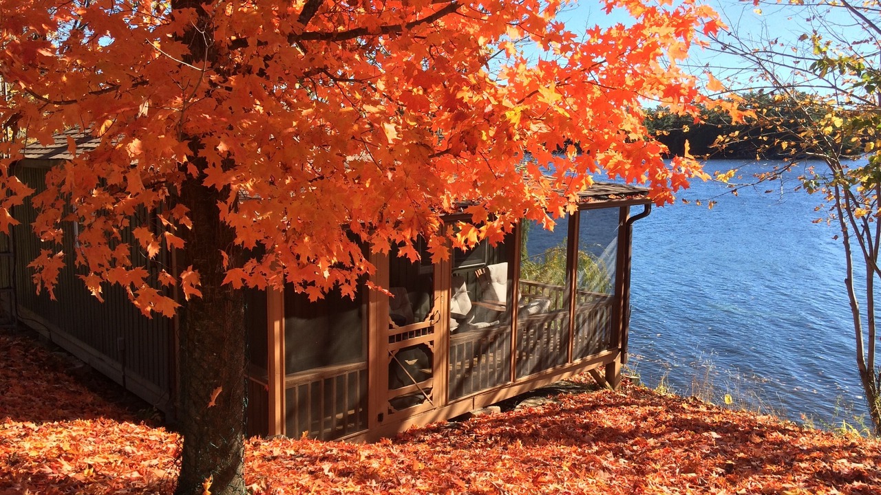 Photo of Outdoor in Tay Valley