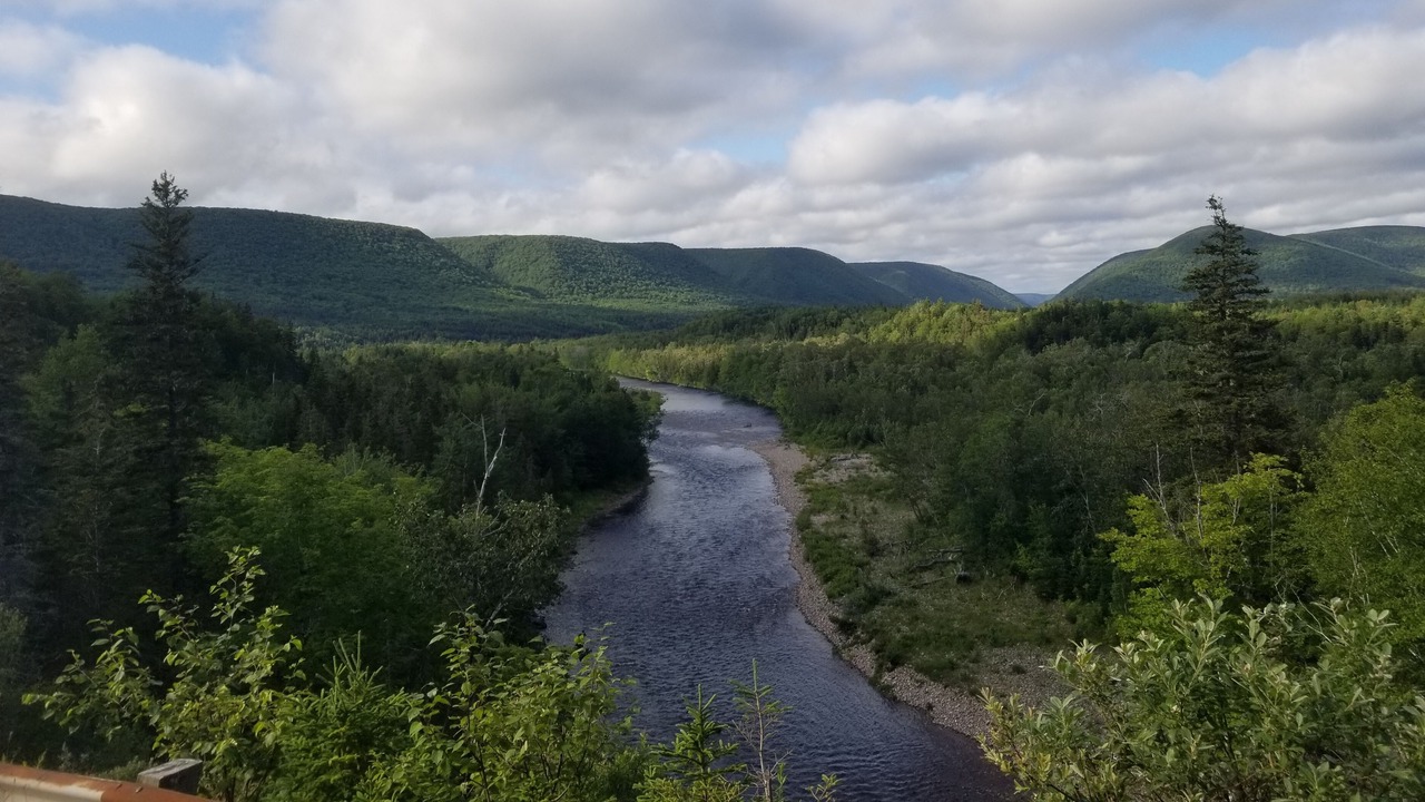 Photo of Others in Margaree Valley