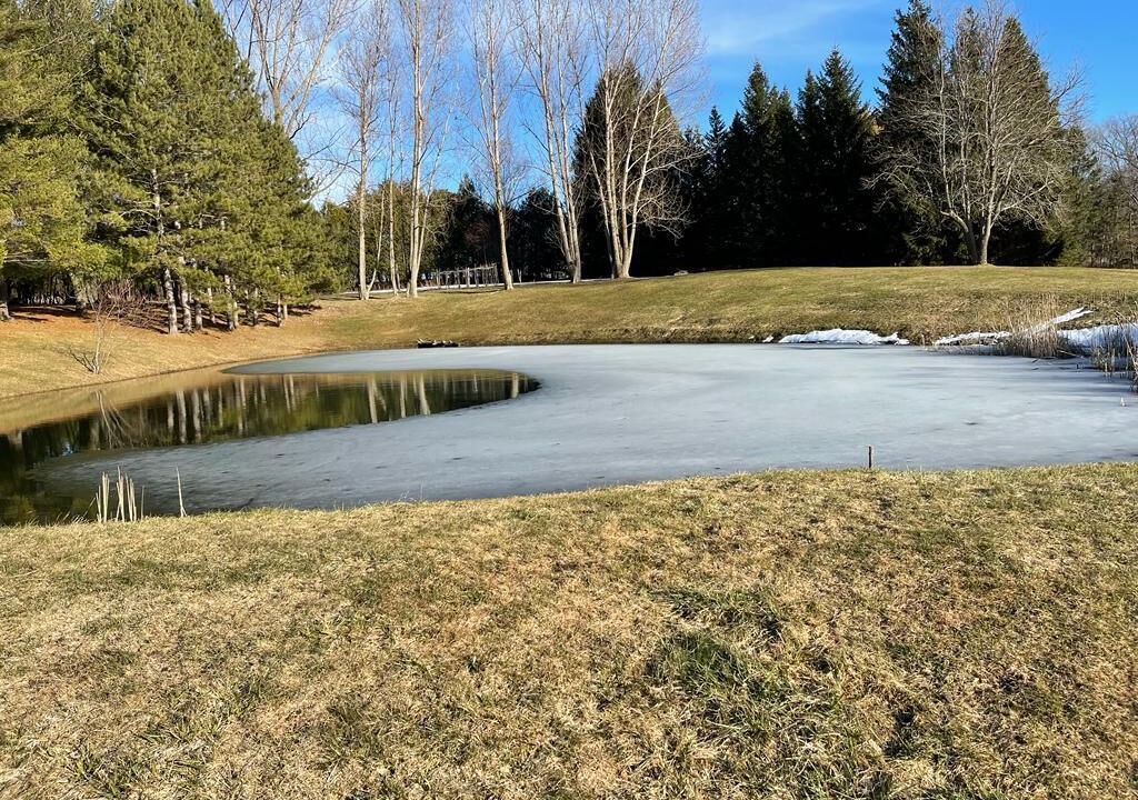 Photo of Outdoor in Meaford