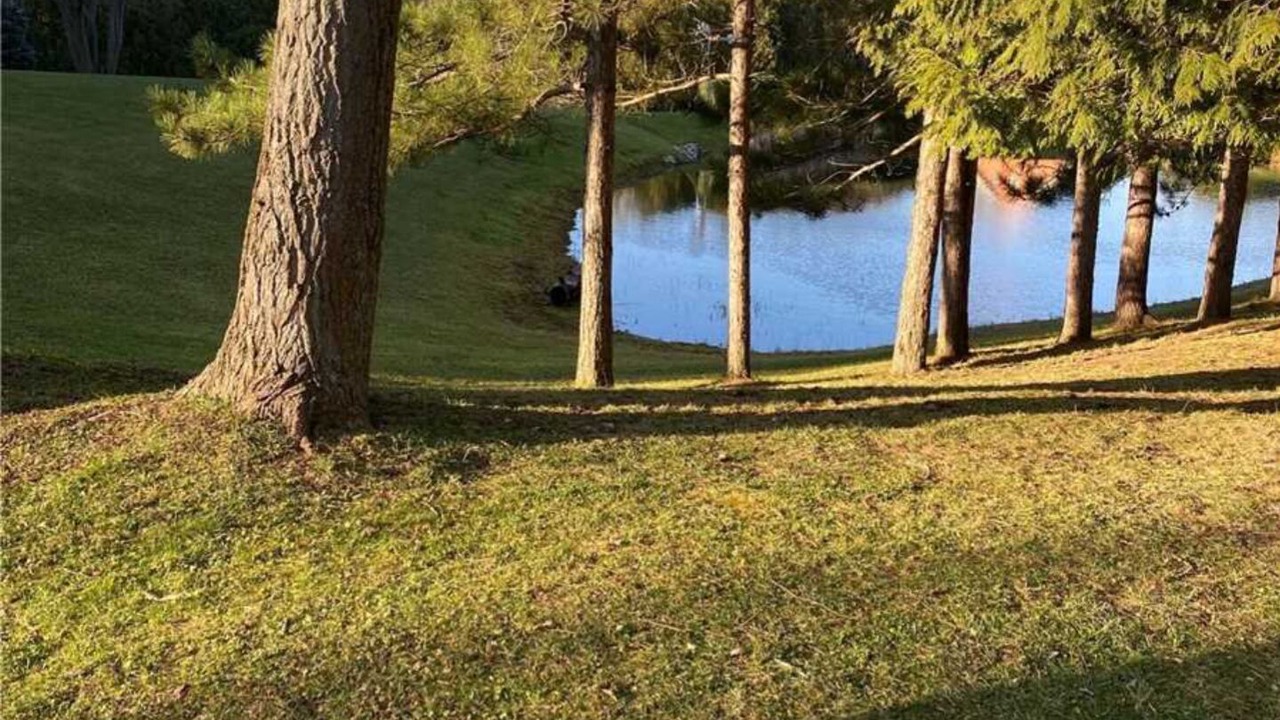 Photo of Outdoor in Meaford